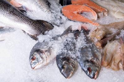 Bảng giá hải sản mỗi ngày - Cá, Tôm, Cua, Ghẹ, Mực biển
