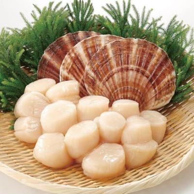 Cồi Sò Điệp Nhật Hokkaido, chuẩn Sashimi ăn sống, size trung 25-30 cồi/kg