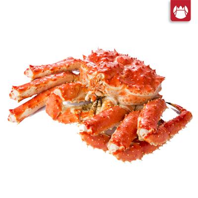 Cua Hoàng Đế Alaska (King Crab) – Cua Alaska đỏ – Giao sống tận nơi